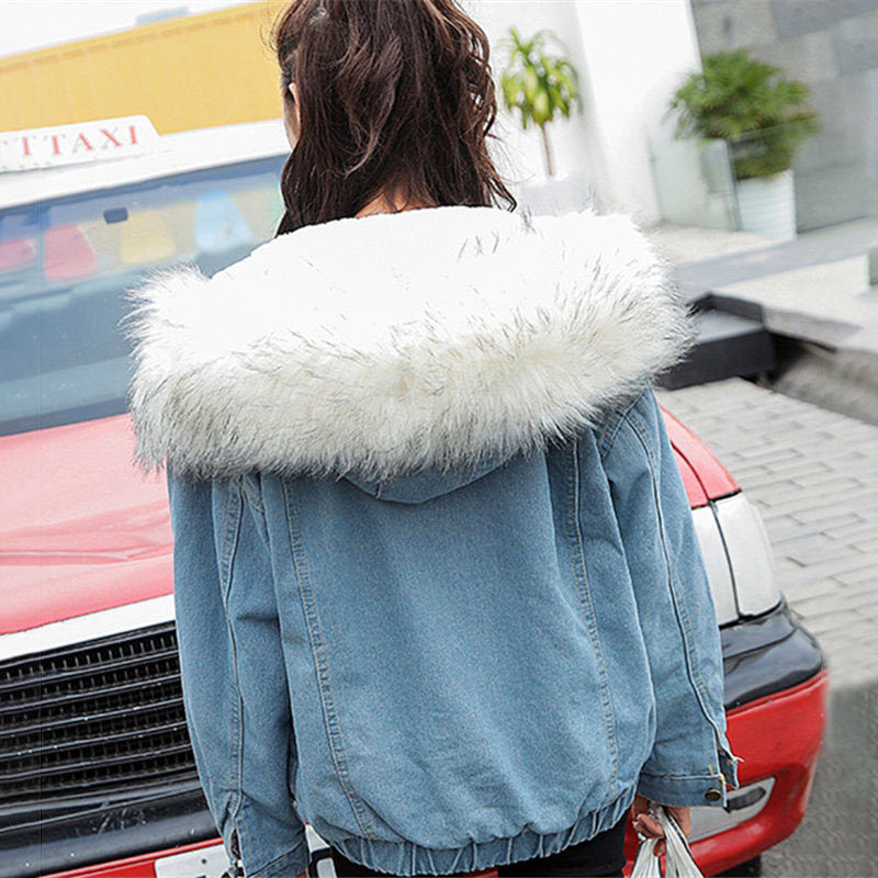 Veste Mode Hiver Chaude en Coton by LunexaStyle